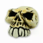 Bone