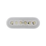 22 LED 6" Oval GloLight (Back-Up) (Bulk) - Image 2