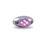 Purple LED Courtesy Light - 4 Diodes-TB-C4P