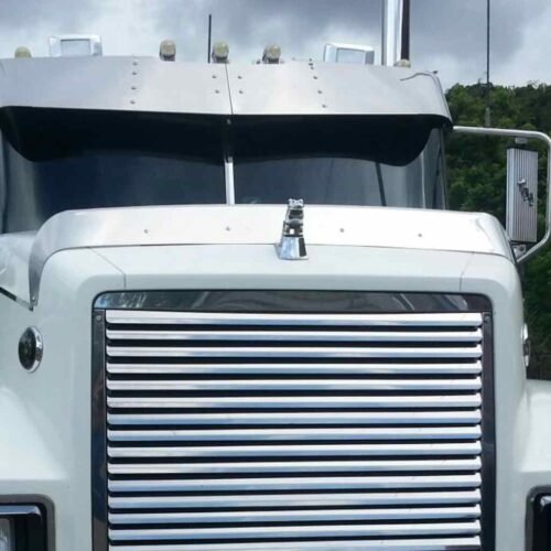 Mack Bug Deflectors