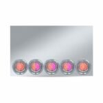 20" Drop Dual LED Rear Center Panel - Watermelon LEDs (Clear Lens) | 304 Stainless Steel-TU-9022LW5