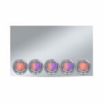 20" Drop Dual LED Rear Center Panel - Watermelon LEDs (Clear Lens) | 304 Stainless Steel-TU-9022LW6