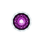Double Fury 4 LED Dual Function 1-1/8" Crystal Watermelon Light-Amber & Purple LED - Image 3