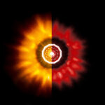 Double Fury 4 LED Dual Function 1-1/8" Crystal Watermelon Light-Amber & Red LED - Image 13