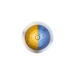 Double Fury 4 LED Dual Function 1-1/8" Spike Light-Amber & Blue LED 36255