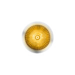 Double Fury 4 LED Dual Function 1-1/8" Spike Light-Amber & Green LED - Image 2