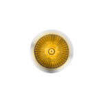 Double Fury 4 LED Dual Function 1-1/8" Spike Light-Amber & Red LED - Image 3